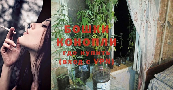 прущие грибы Арсеньев