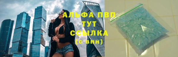 прущие грибы Арсеньев
