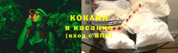 прущие грибы Арсеньев