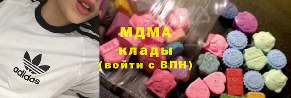 прущие грибы Арсеньев