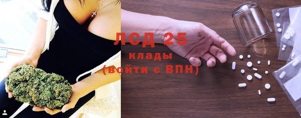прущие грибы Арсеньев