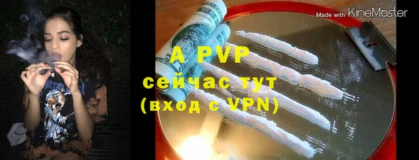 прущие грибы Арсеньев